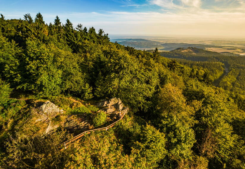 Ausblick in die Natur