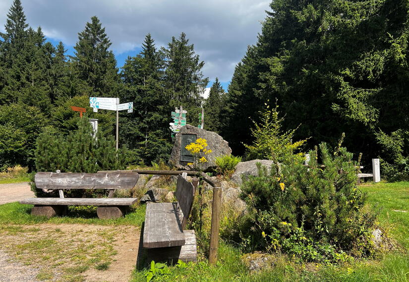 Sitzgelegenheiten im Wald mit Wegweisern im Hintergrund