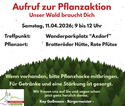 Flyer zur Pflanzaktion am 11. April 2026 in Brotterode-Trusetal