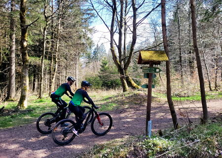 Mountainbiker im Thüringer Wald