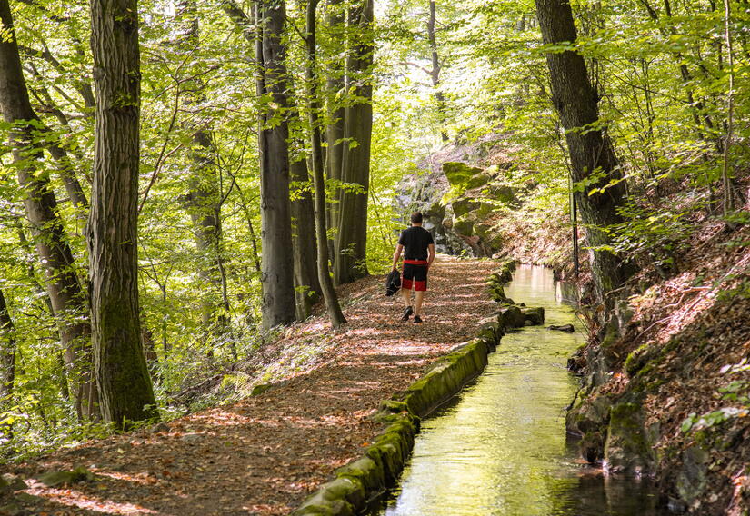 Wanderer im Wald entlang des Bachlaufes