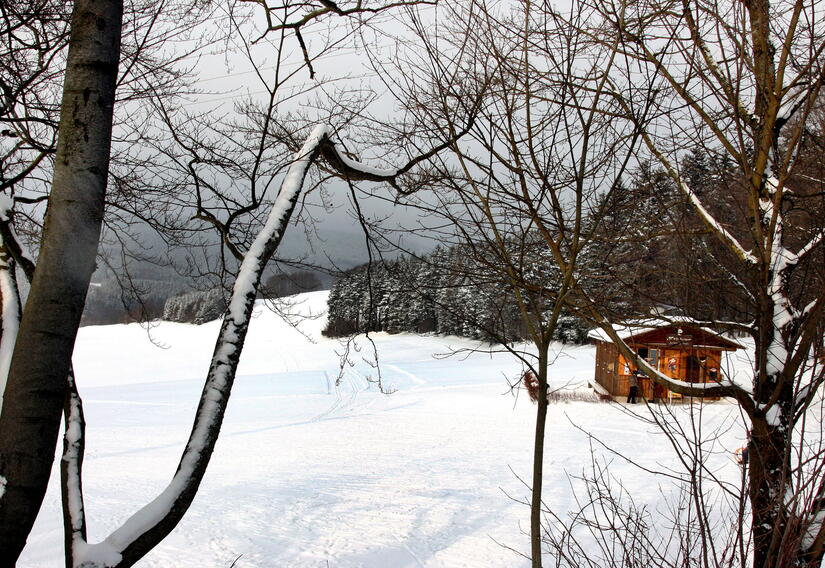 Blick auf den Rodelhang im Winter