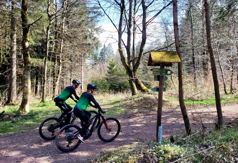 Mountainbiker im Thüringer Wald