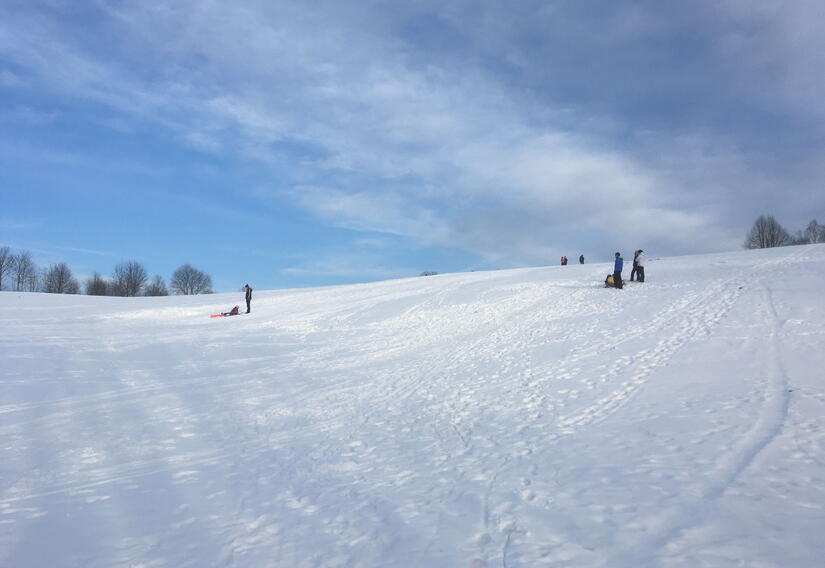 Schlittenfahren bei sonnigem Winterwetter in Brotterode