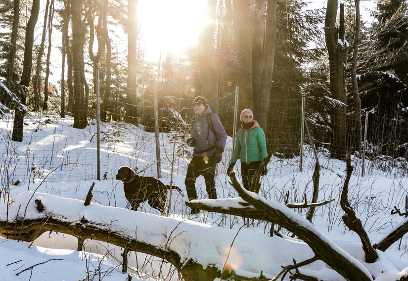 Wanderer mit Hund bei sonnigem Winterwetter im Thüringer Wald