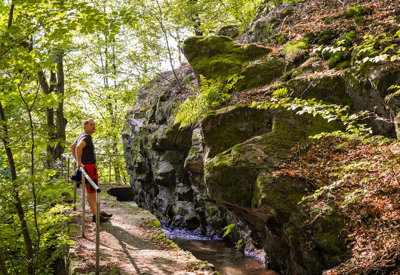 Wanderer im Wald entlang des Bachlaufes