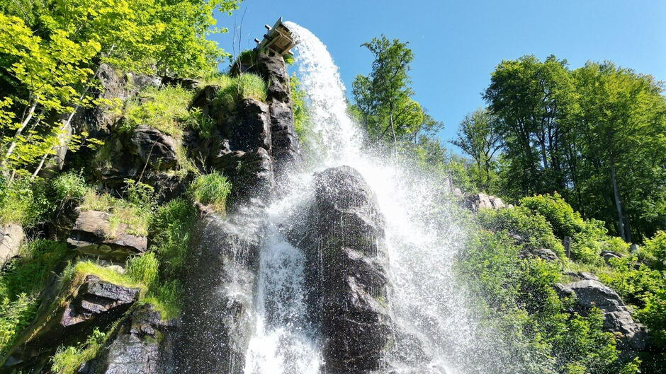 Wasserfall umgeben von Wald
