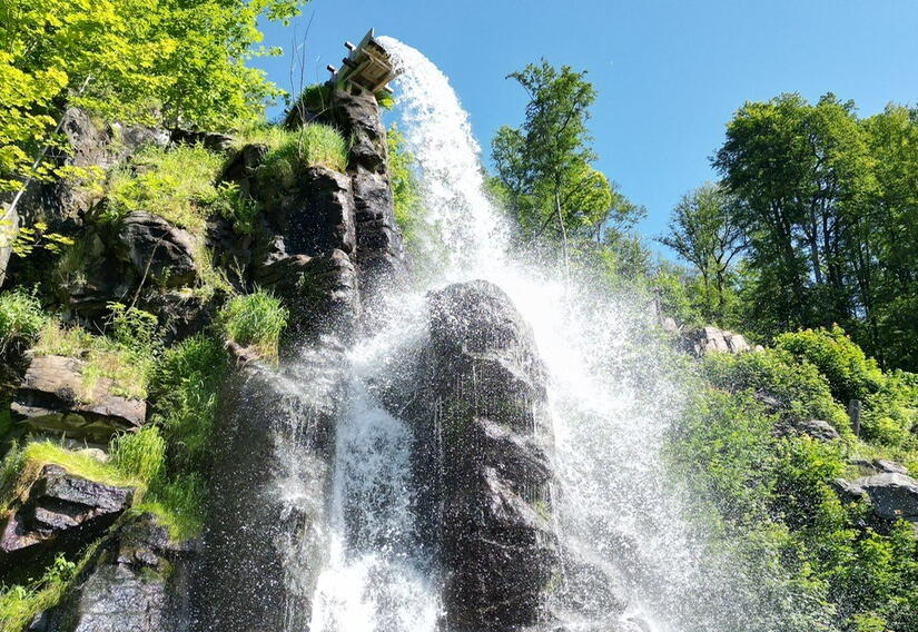 Wasserfall umgeben von Wald