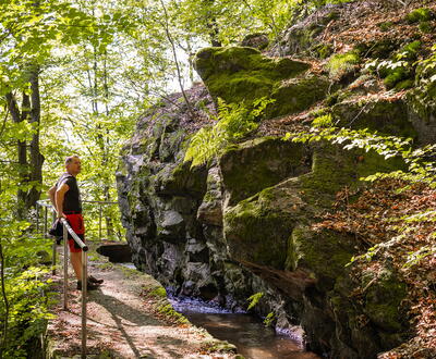 Wanderer im Wald entlang des Bachlaufes